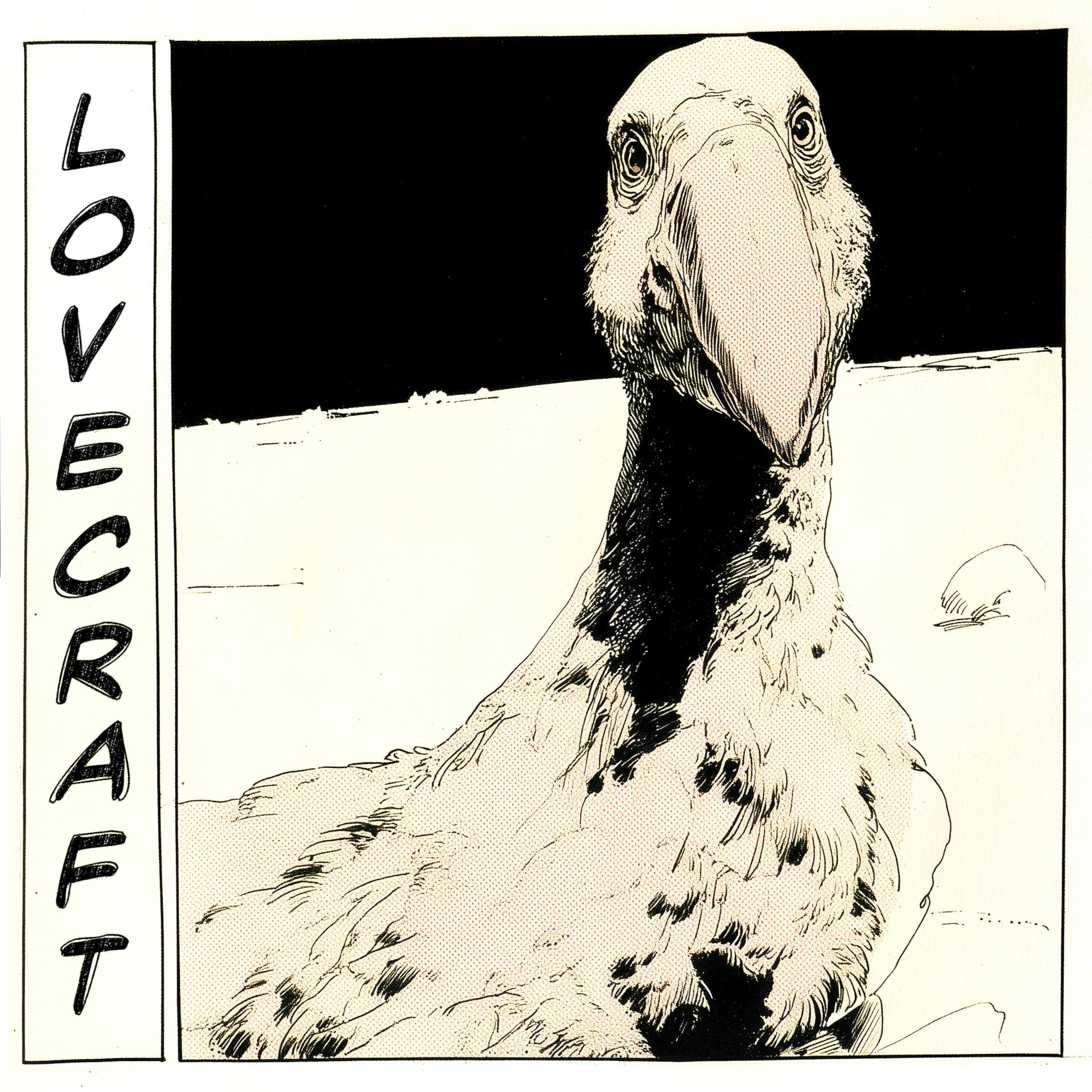 Image Cover